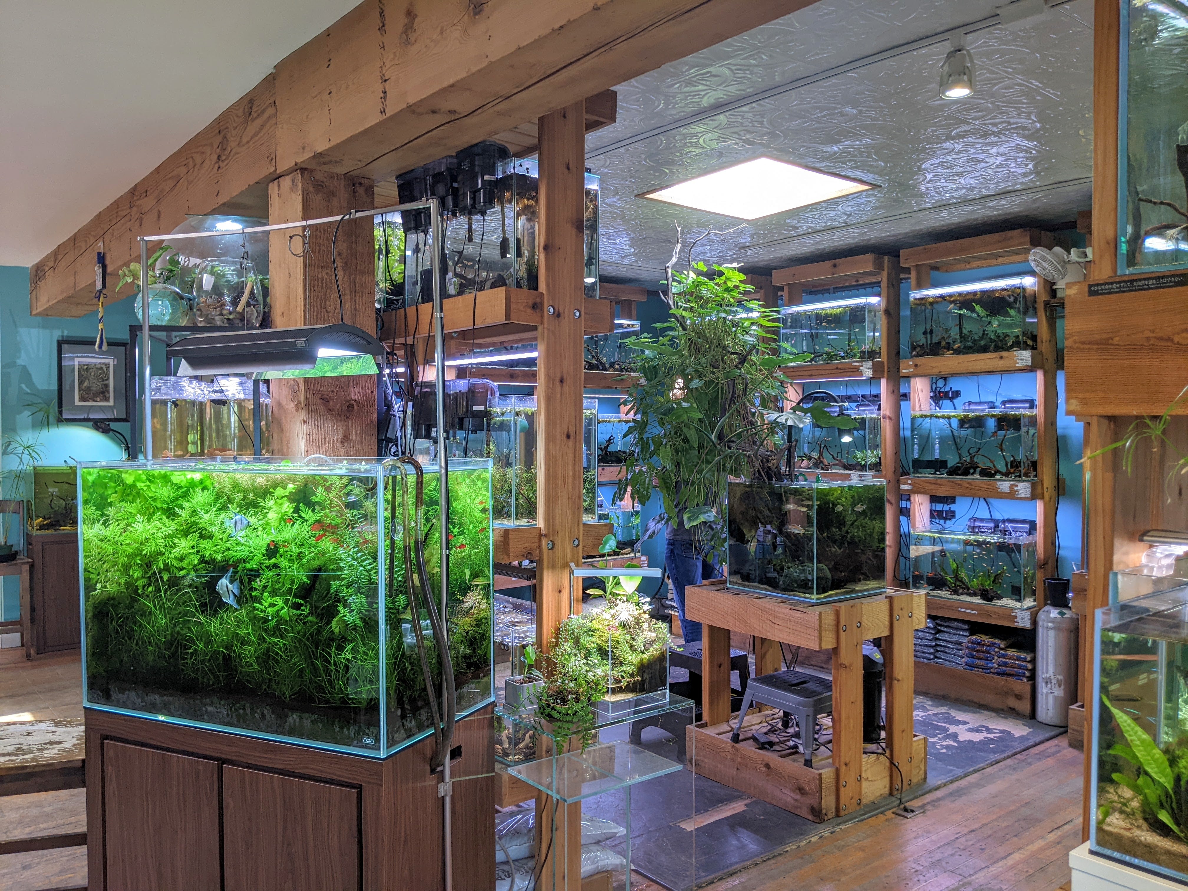 Home | Aquarium Zen, LLC